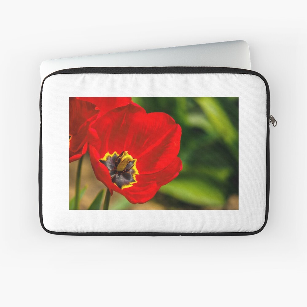 Item preview, Laptop Sleeve designed and sold by mike-pellinni.