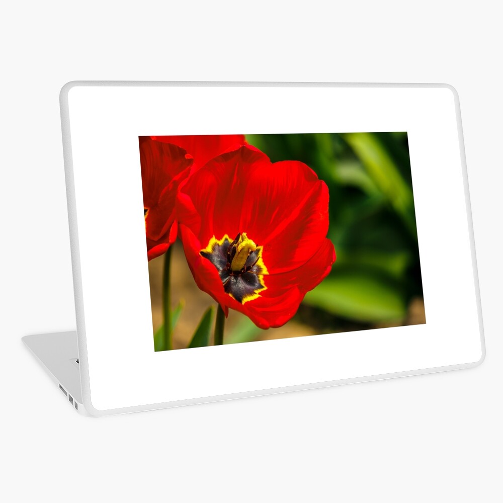 Item preview, Laptop Skin designed and sold by mike-pellinni.