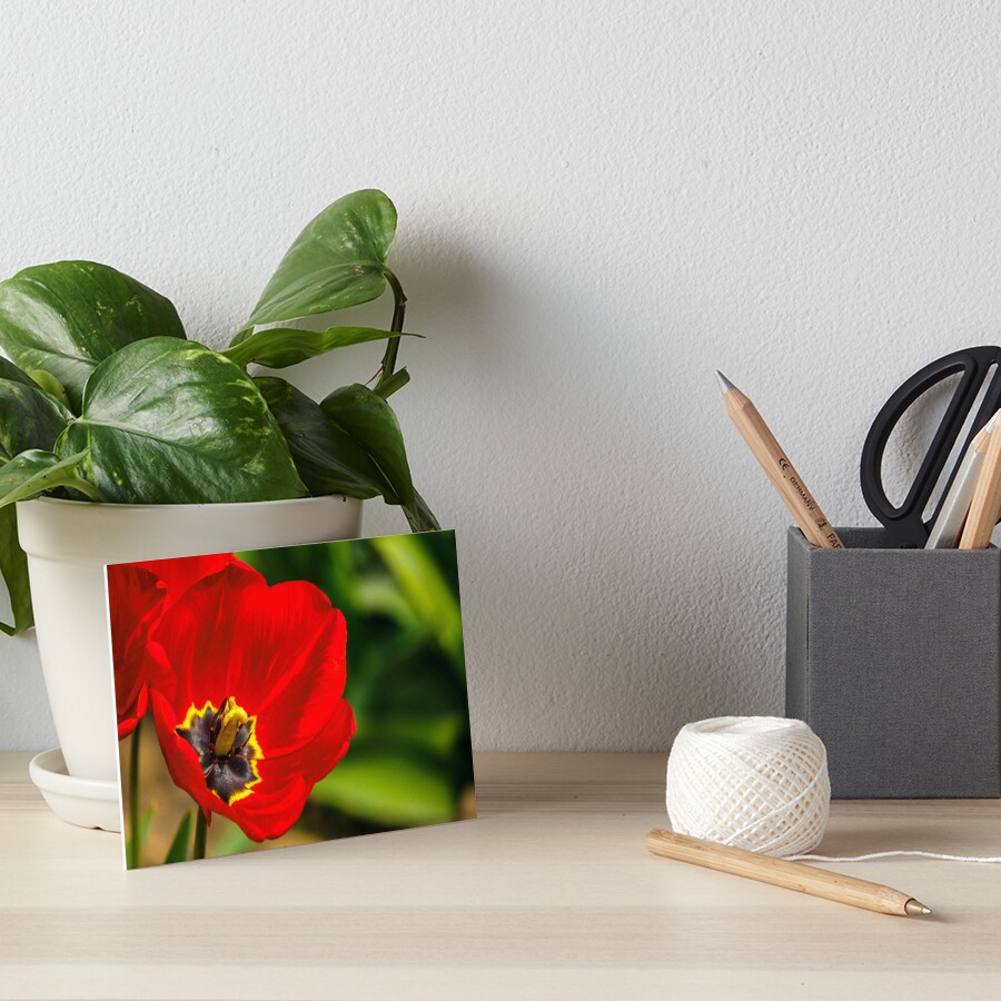 Item preview, Art Board Print designed and sold by mike-pellinni.