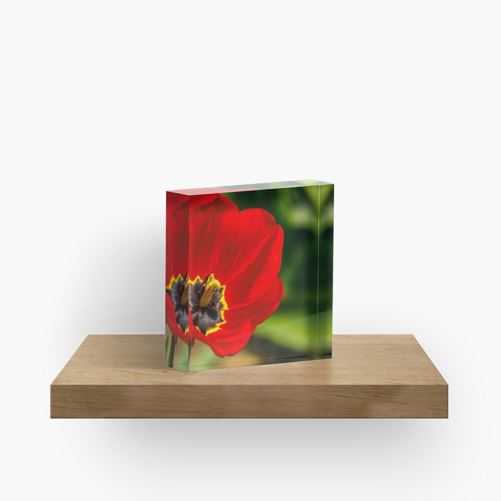 Item preview, Acrylic Block designed and sold by mike-pellinni.