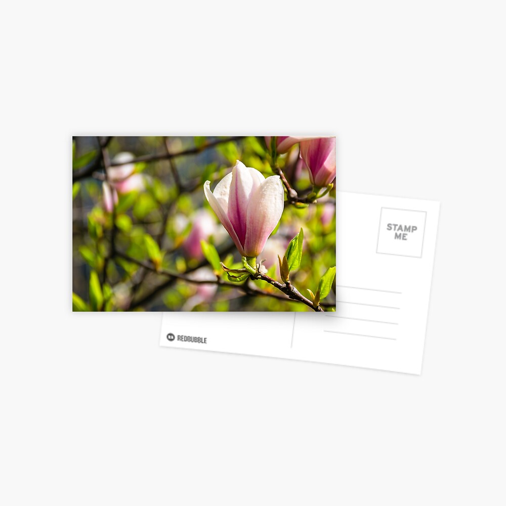 Item preview, Postcard designed and sold by mike-pellinni.