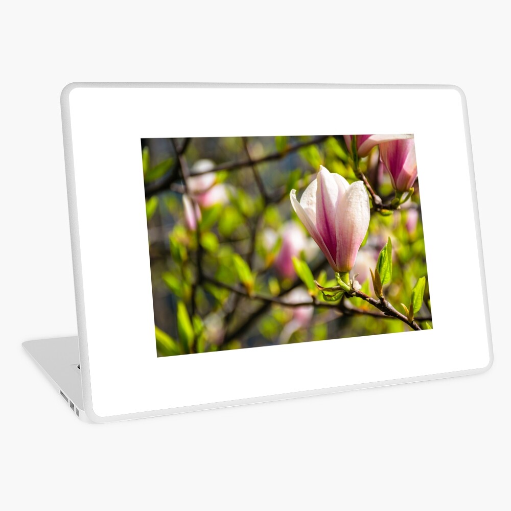 Item preview, Laptop Skin designed and sold by mike-pellinni.