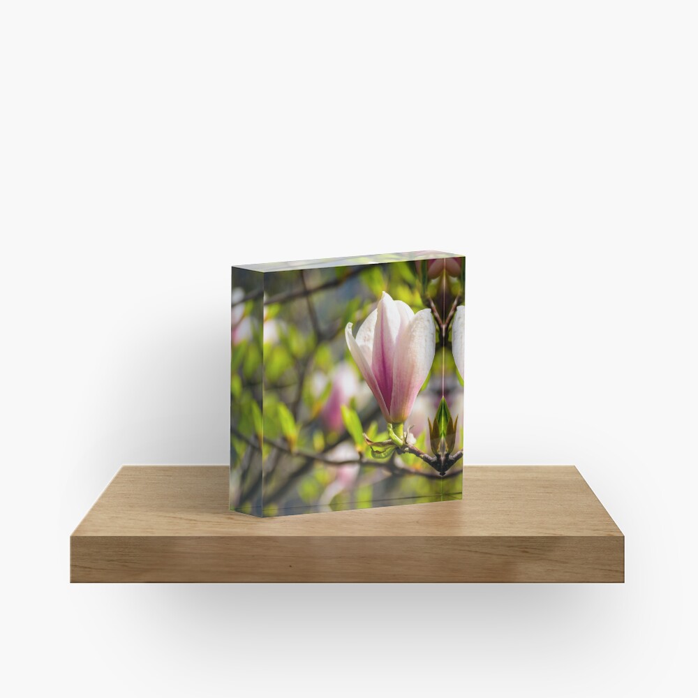 Item preview, Acrylic Block designed and sold by mike-pellinni.