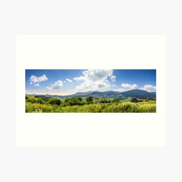 meadow with flowers in mountains Art Print