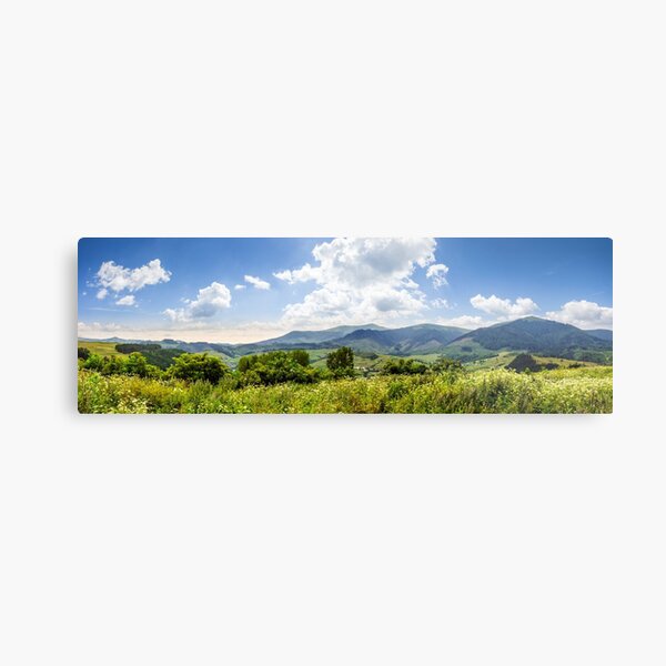 meadow with flowers in mountains Metal Print