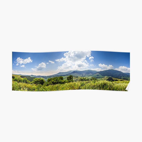 meadow with flowers in mountains Poster