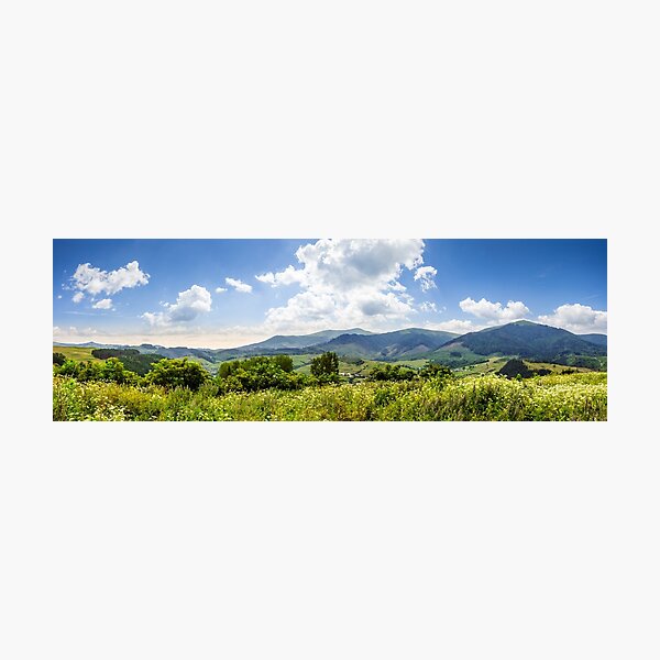 meadow with flowers in mountains Photographic Print