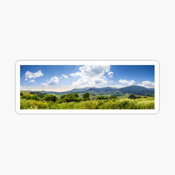 meadow with flowers in mountains Sticker
