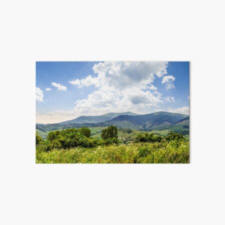 meadow with flowers in mountains Art Board Print