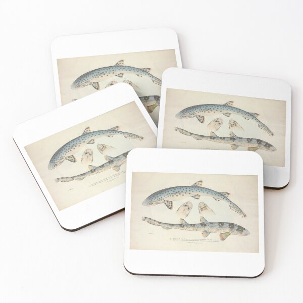 Item preview, Shark Vintage 1 designed and sold by Karl The Fish Guy.
