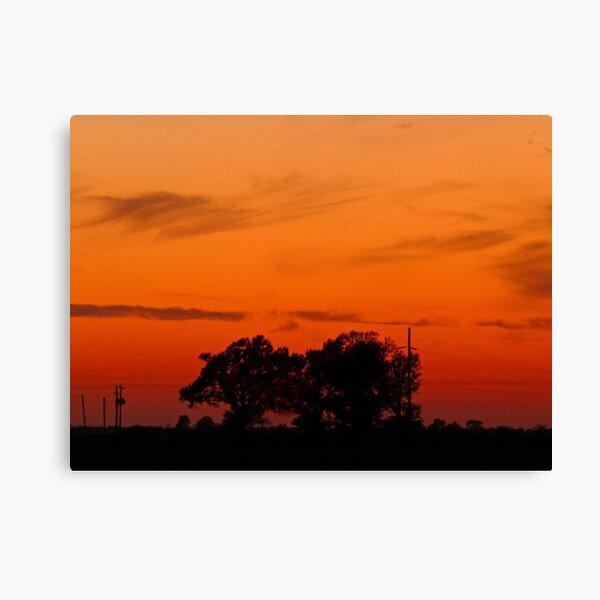 Item preview, The Arkansas Razorback Tree, in a Sunset designed and sold by WildestArt.