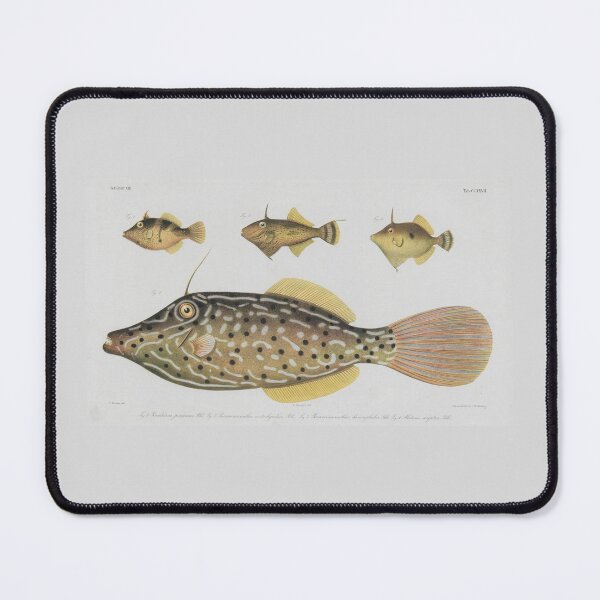 Item preview, Fish Vintage 2 designed and sold by Karl The Fish Guy.