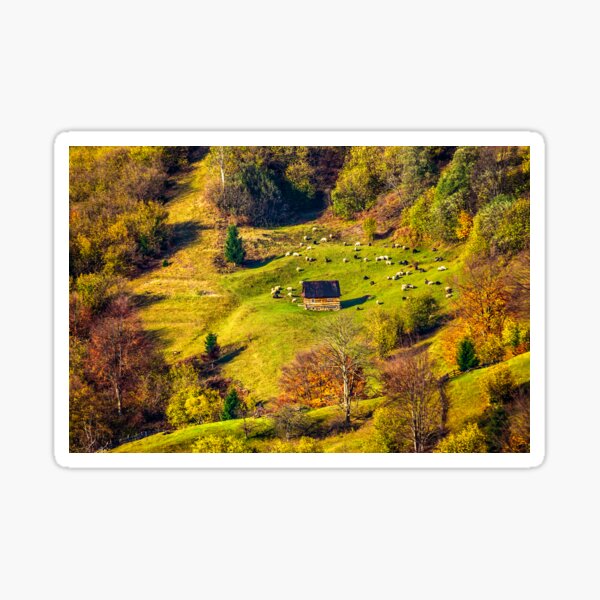 flock of sheep on the meadow near forest in mountains Sticker