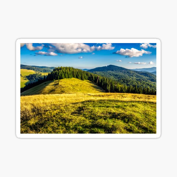 meadow on a hillside near forest Sticker