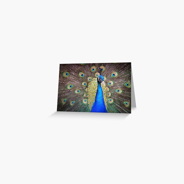 The Magic Bird Greeting Card