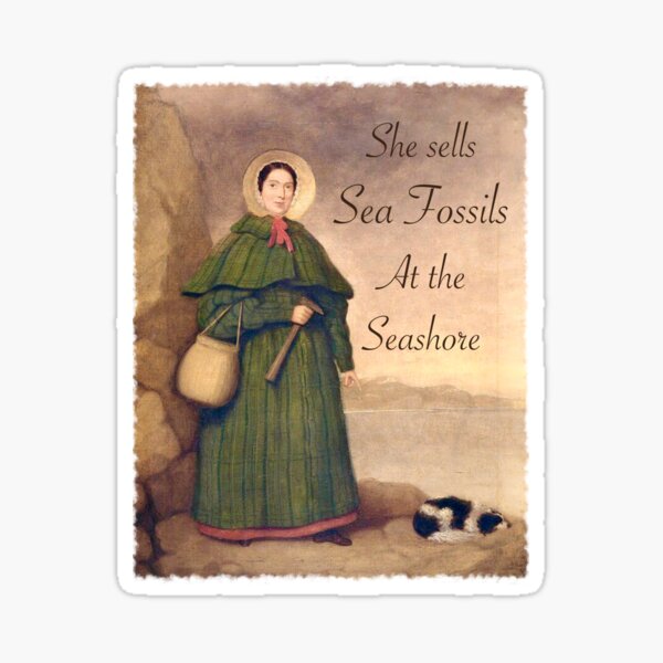 Item preview, Mary Anning - She Sells Sea Fossils  designed and sold by wabisabi-design.