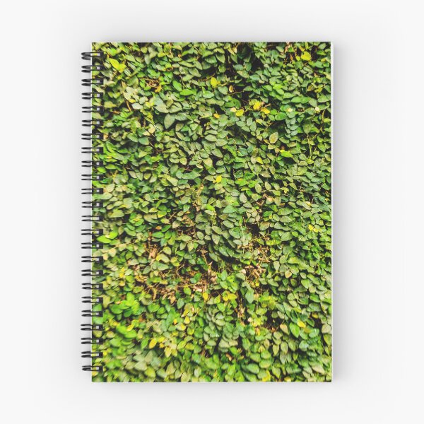 Item preview, Leaves hojas designed and sold by juancalop.