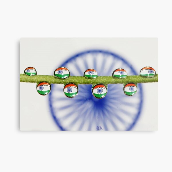 I love my India...... Metal Print