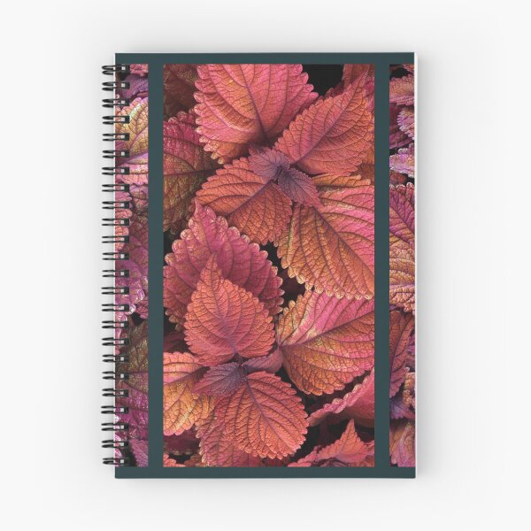Item preview, Coleus Collage designed and sold by Jessica Jenney.