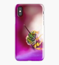 Sweat Bee on Purple Flower iPhone Case/Skin