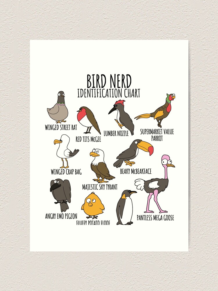 Bird Watcher Funny Identification Chart for Bird Lovers & Ornithologists  Art Print for Sale by Nerd Shizzle