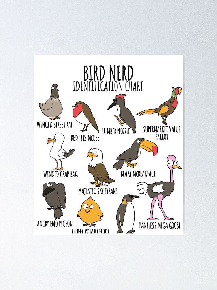 Bird Watcher Funny Identification Chart for Bird Lovers & Ornithologists  Poster for Sale by Nerd Shizzle