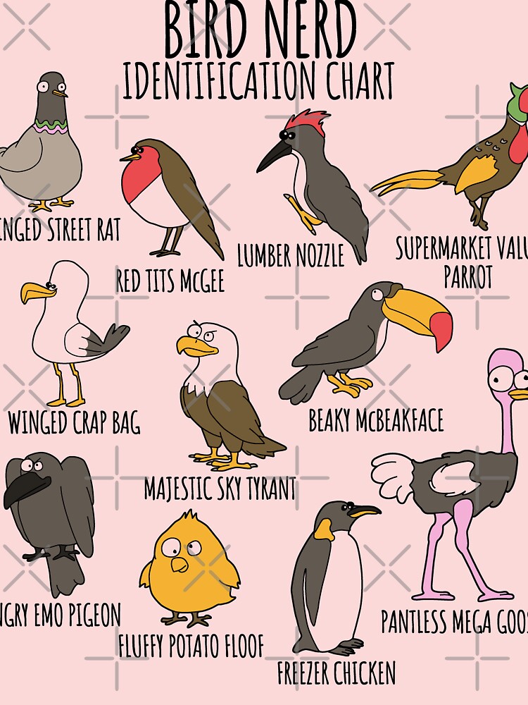 Clicker Bird Name Meaning & Info - Drlogy