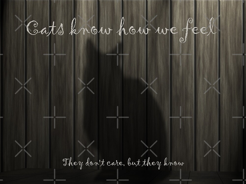 "Cats Know how we Feel" by FrankieCat Redbubble