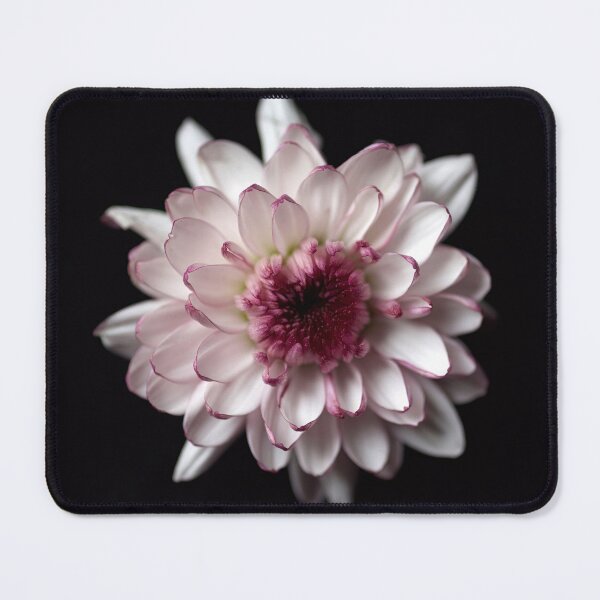 Item preview, Chrysanthemum designed and sold by Elizabeth Leitzke.