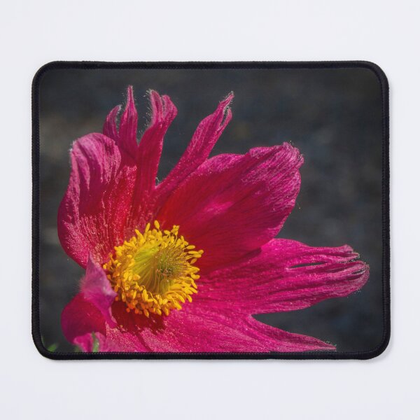Item preview, Alaskan Flower designed and sold by Nick Caldwell.