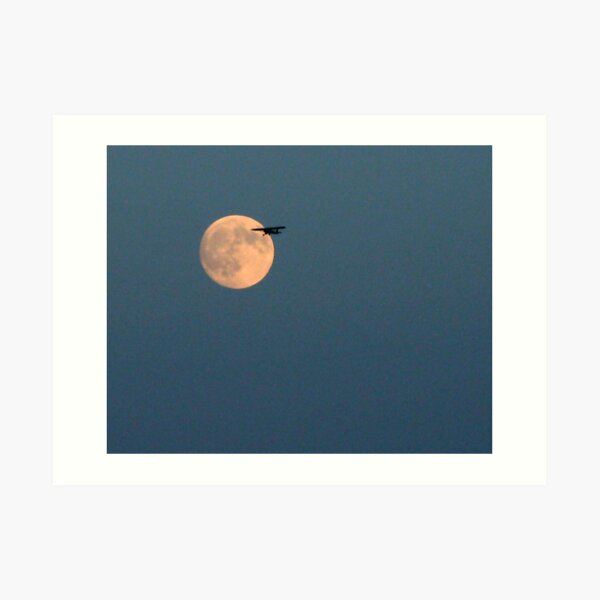 Twilight Flight By The Moon Art Print