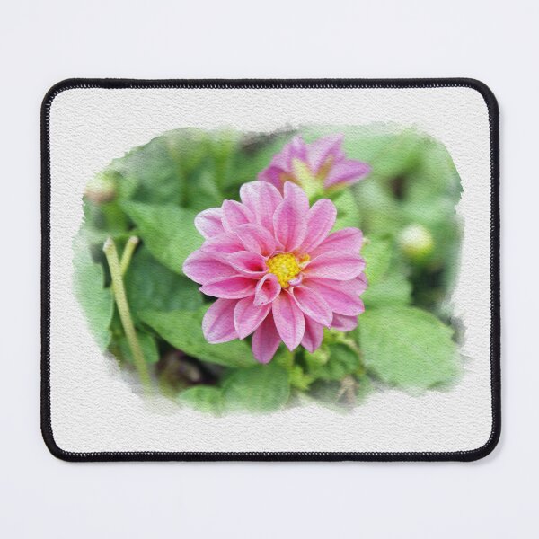 Artikelvorschau, Originalvorlage rosa Dahlie-Digital-Aquarells entworfen und verkauft von paragonDesign28.