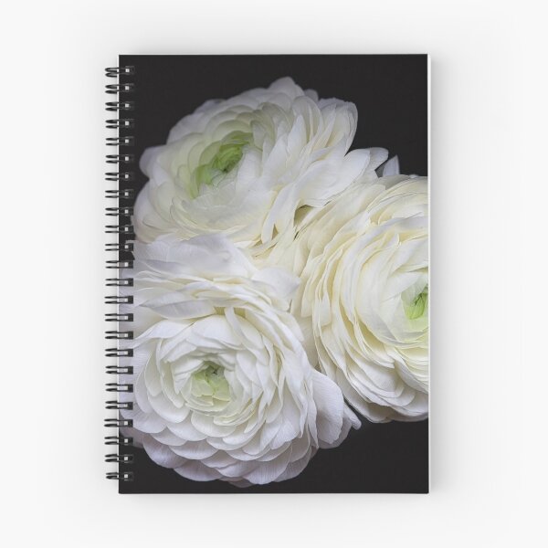 Item preview, Ranunculus Trio in White designed and sold by Elizabeth Leitzke.