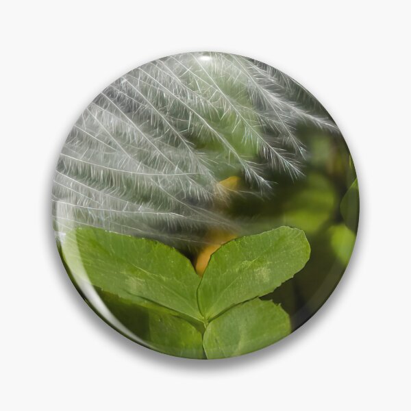 Item preview, Lucky and Blessed #1 - Dove Feather With Four Leaf Clover designed and sold by AHA-nature.