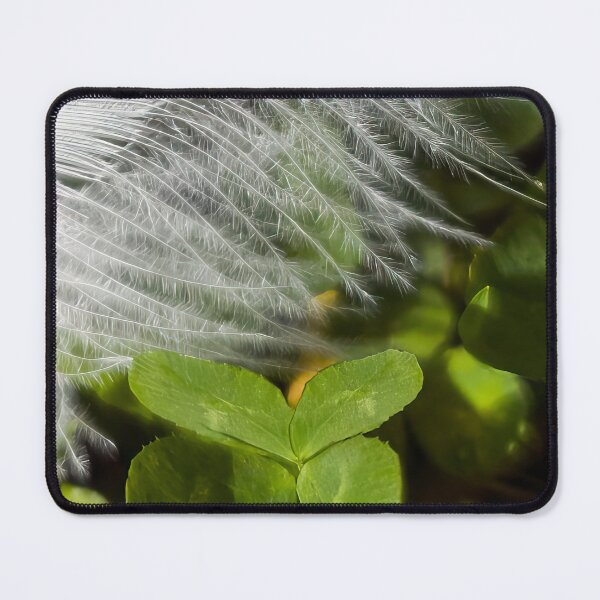 Item preview, Lucky and Blessed #1 - Dove Feather With Four Leaf Clover designed and sold by AHA-nature.