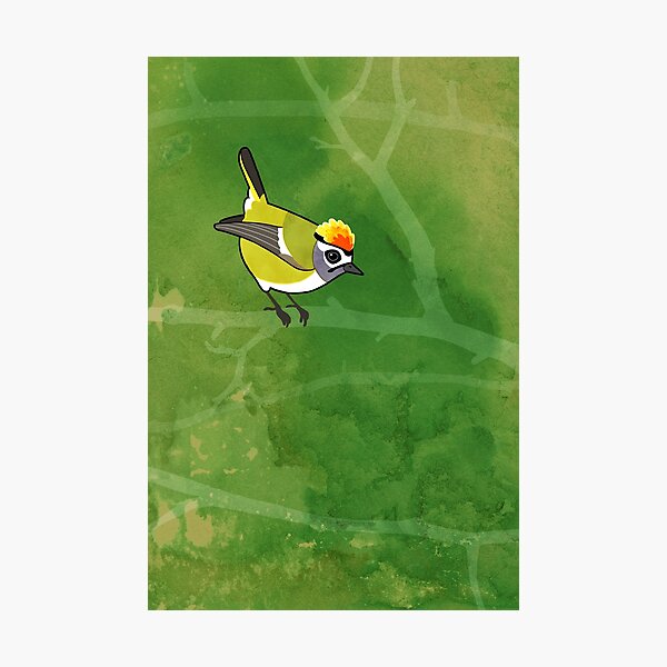 Item preview, Firecrest (Regulus ignicapillus) designed and sold by Cedarseed.