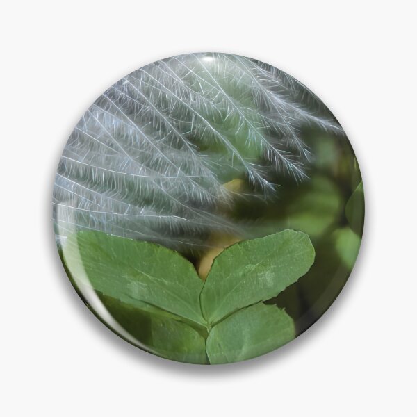 Item preview, Lucky and Blessed #2 - Dove Feather With Four Leaf Clover designed and sold by AHA-nature.