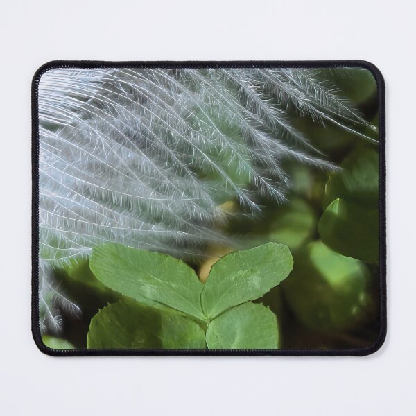 Item preview, Lucky and Blessed #2 - Dove Feather With Four Leaf Clover designed and sold by AHA-nature.