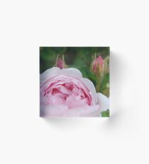 Pink Flower Queen and Sceptres Acrylic Block