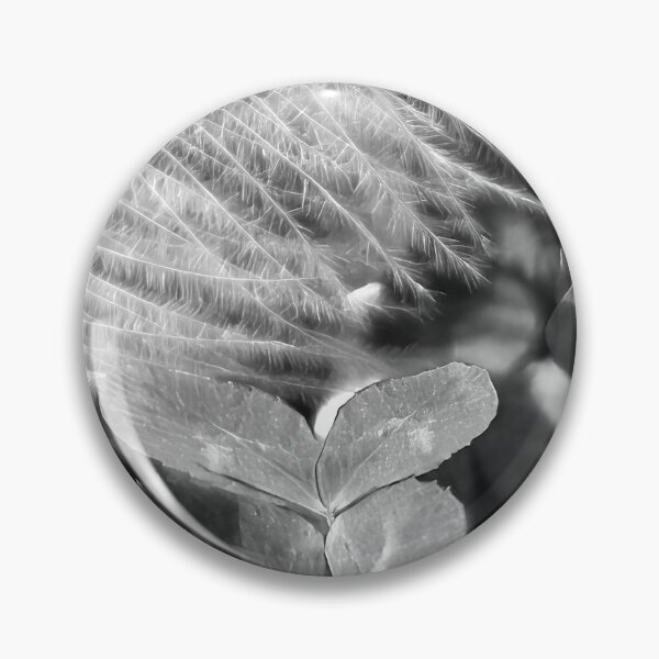 Item preview, Lucky and Blessed #3 - Dove Feather With Four Leaf Clover designed and sold by AHA-nature.