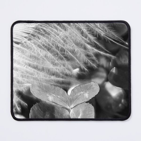 Item preview, Lucky and Blessed #3 - Dove Feather With Four Leaf Clover designed and sold by AHA-nature.