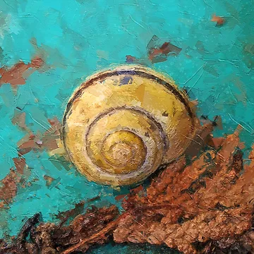 Artwork thumbnail, Turquoise Yellow Shell by werdantem