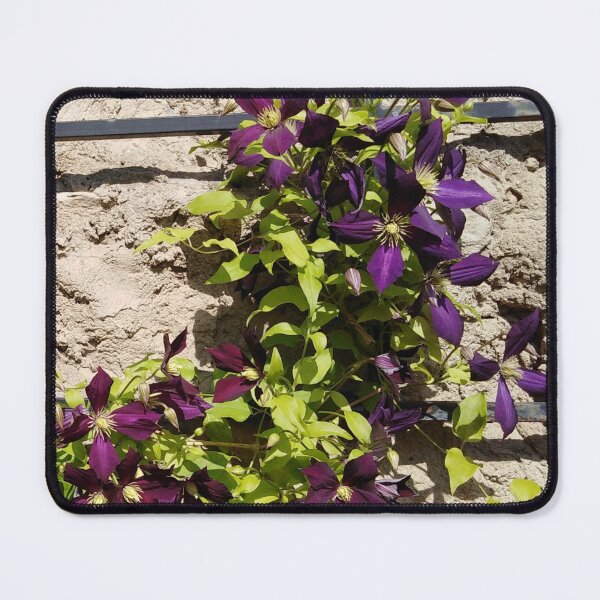 Item preview, This clematis knows it`s always summer somewhere designed and sold by Raigitam.