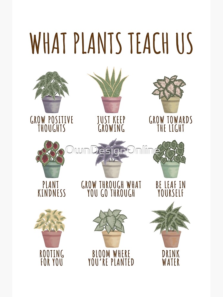 "What plants teach us" Poster for Sale by Redbubble