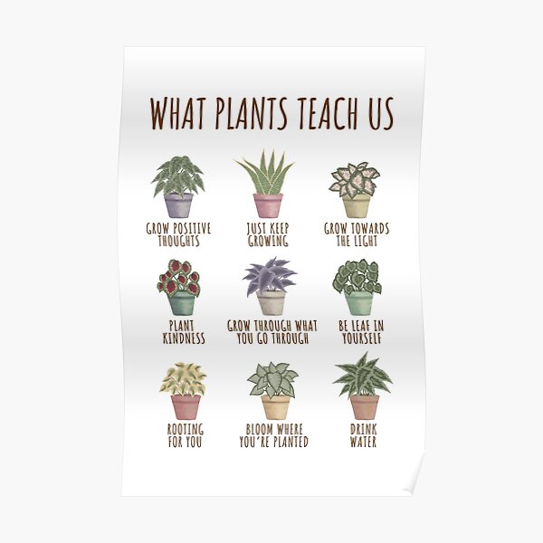 "What plants teach us" Poster for Sale by Redbubble