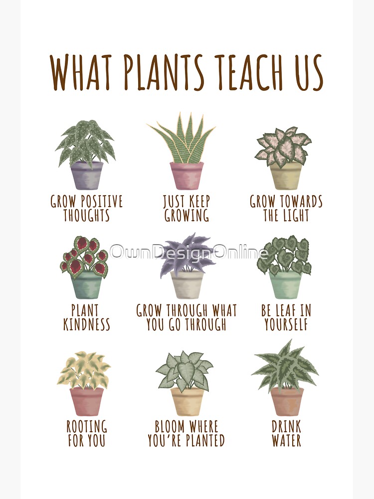 "What plants teach us" Sticker for Sale by Redbubble