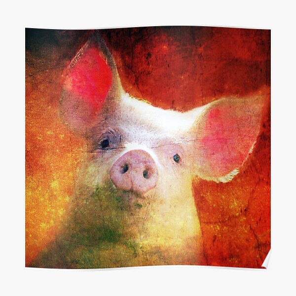 Sunset Piggy Wig Poster