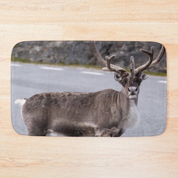 Item preview, Wonderful landscapes in Norway. Nord-Norge. Beautiful reindeer watching me going to Nordkapp (vertical) designed and sold by Maurizio Fabbroni.