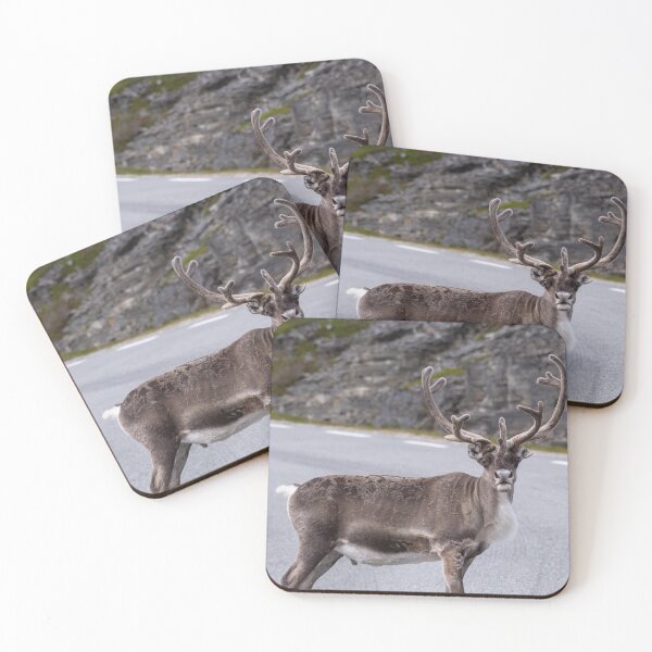 Item preview, Wonderful landscapes in Norway. Nord-Norge. Beautiful reindeer watching me going to Nordkapp (vertical) designed and sold by Maurizio Fabbroni.