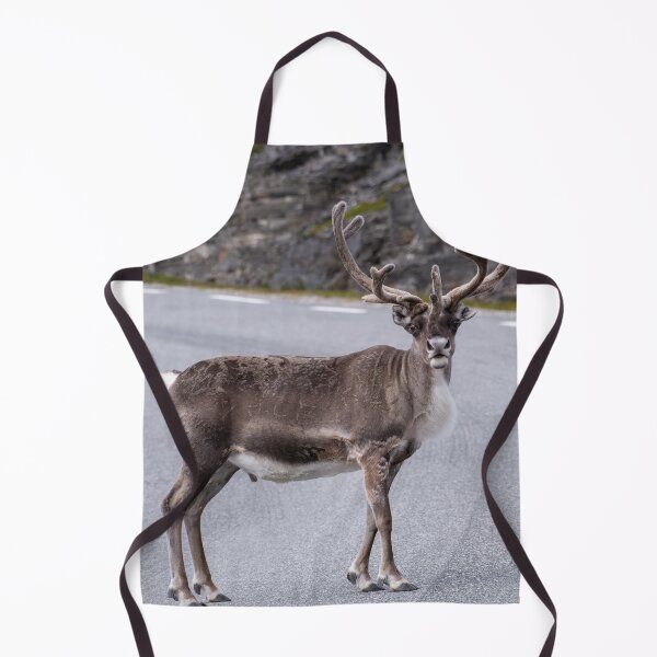 Item preview, Wonderful landscapes in Norway. Nord-Norge. Beautiful reindeer watching me going to Nordkapp (vertical) designed and sold by Maurizio Fabbroni.